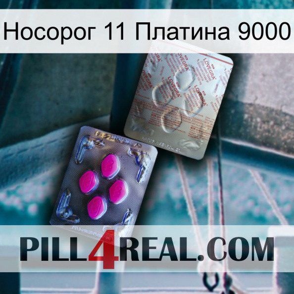 Носорог 11 Платина 9000 38.jpg